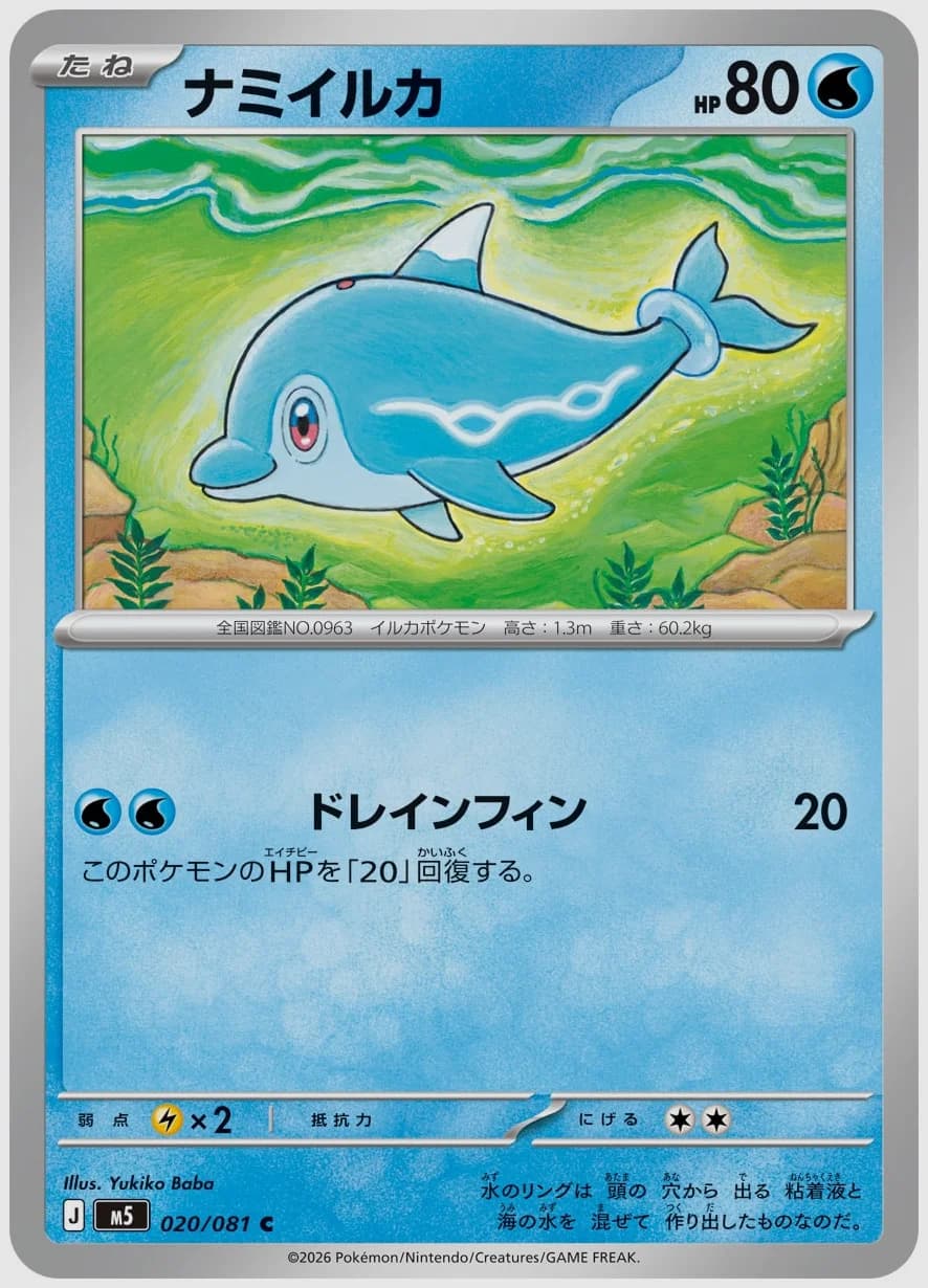 ナミイルカ