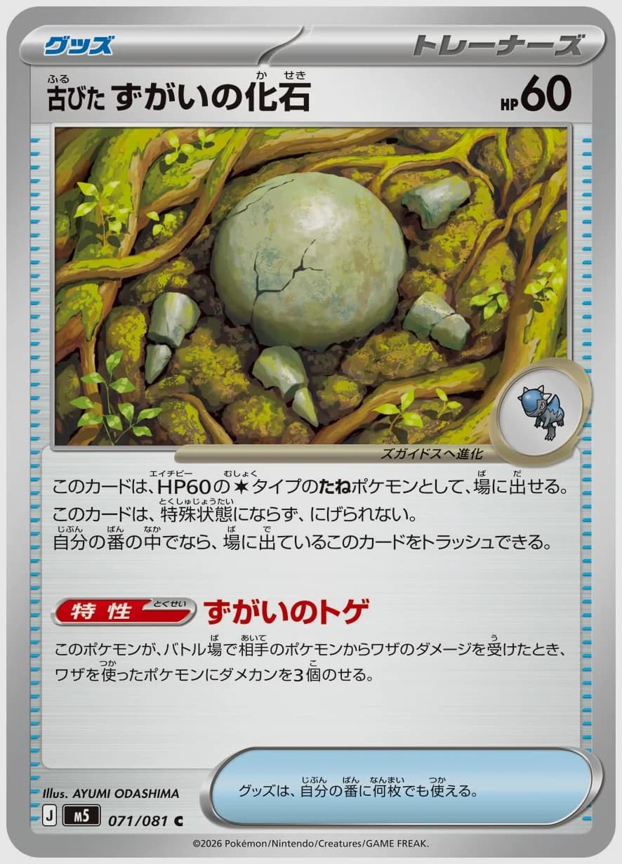 古びたずがいの化石
