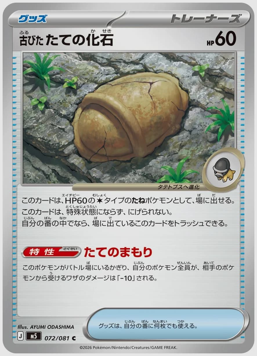 古びたたての化石