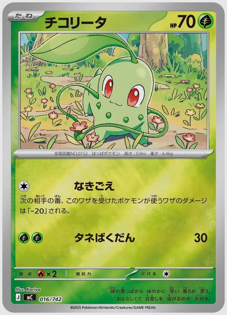チコリータ