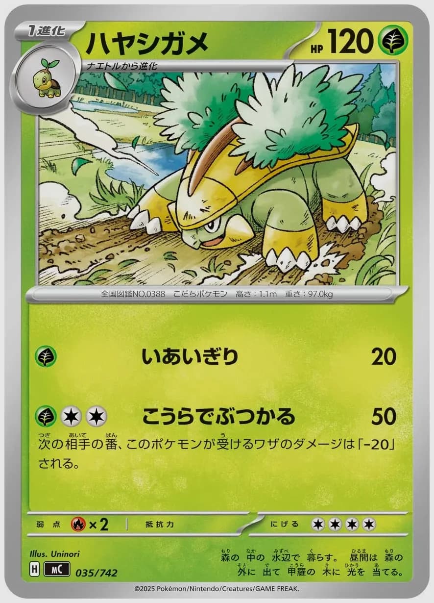 ハヤシガメ