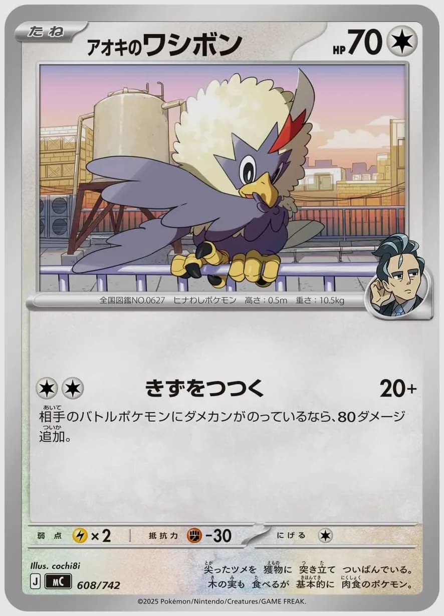 アオキのワシボン