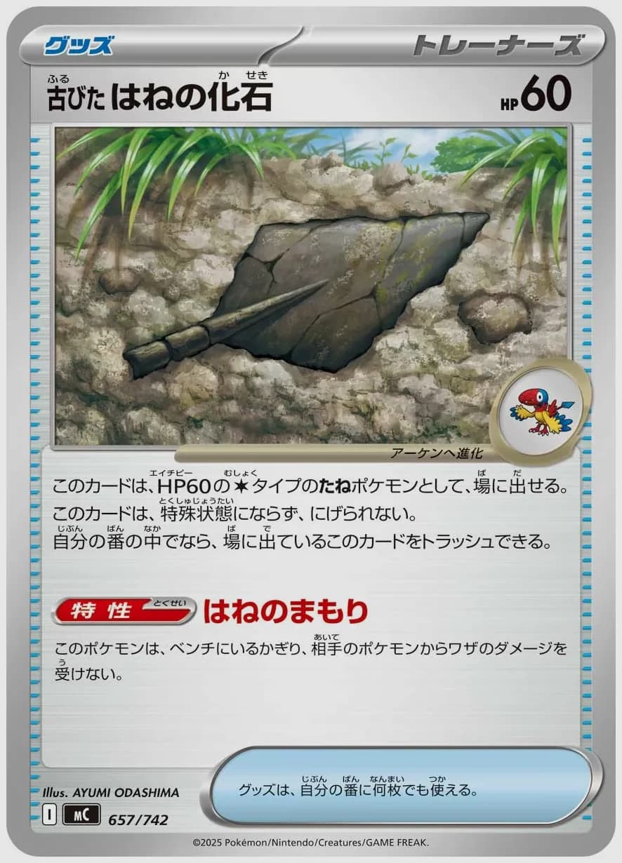 古びたはねの化石