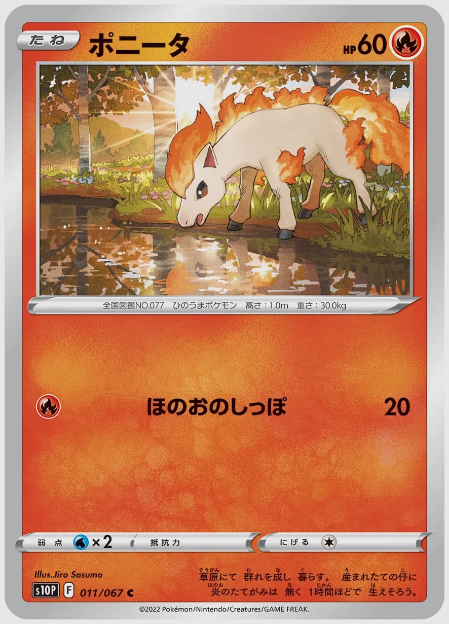 ポニータ