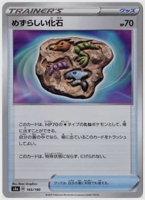 めずらしい化石