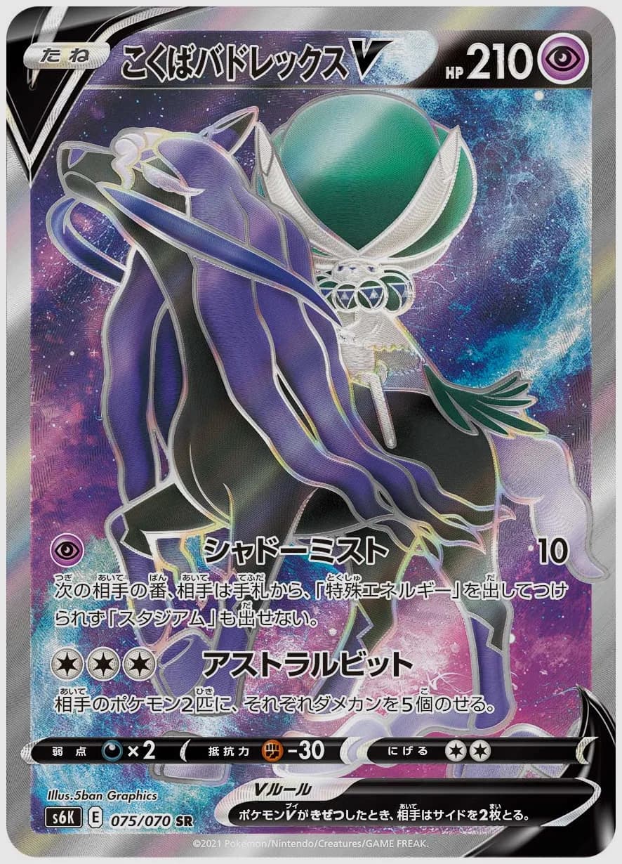 こくばバドレックスV