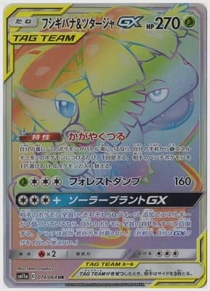 フシギバナ＆ツタージャGX