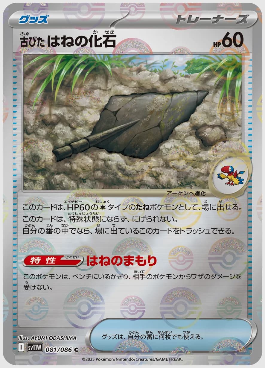 古びたはねの化石