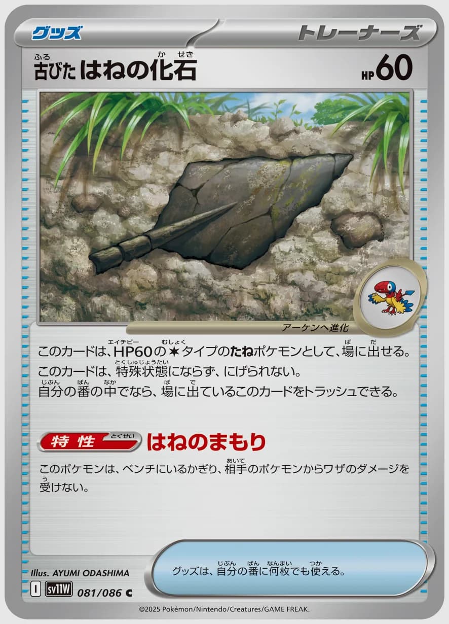 古びたはねの化石