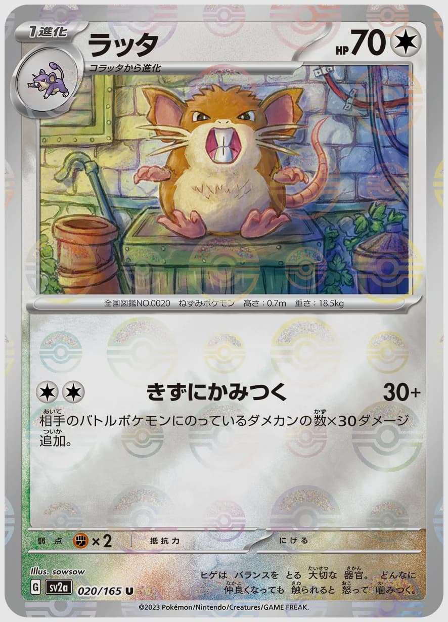 ラッタ