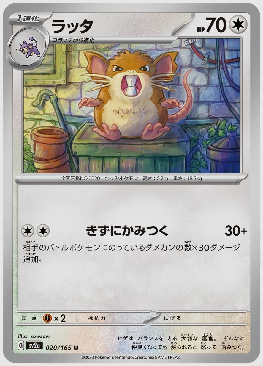 ラッタ