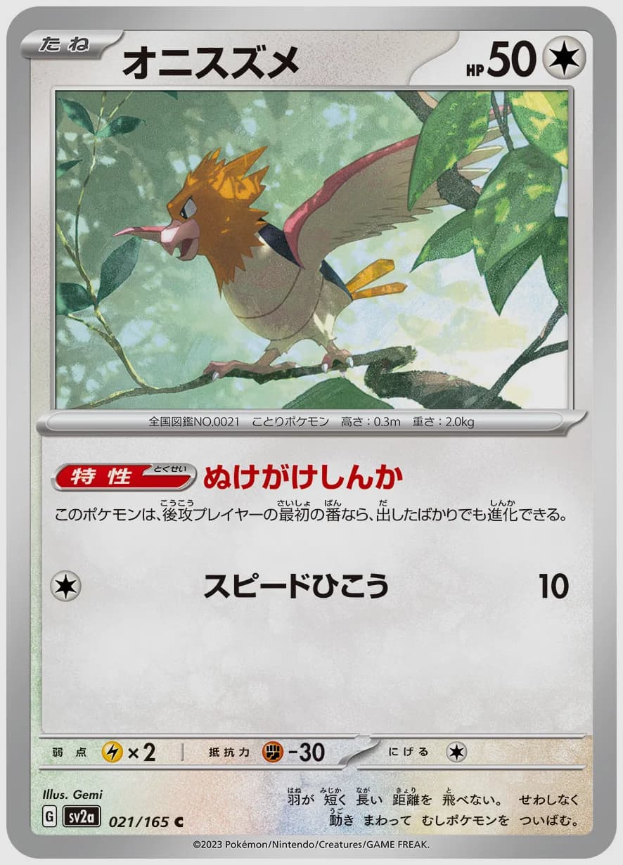 オニスズメ