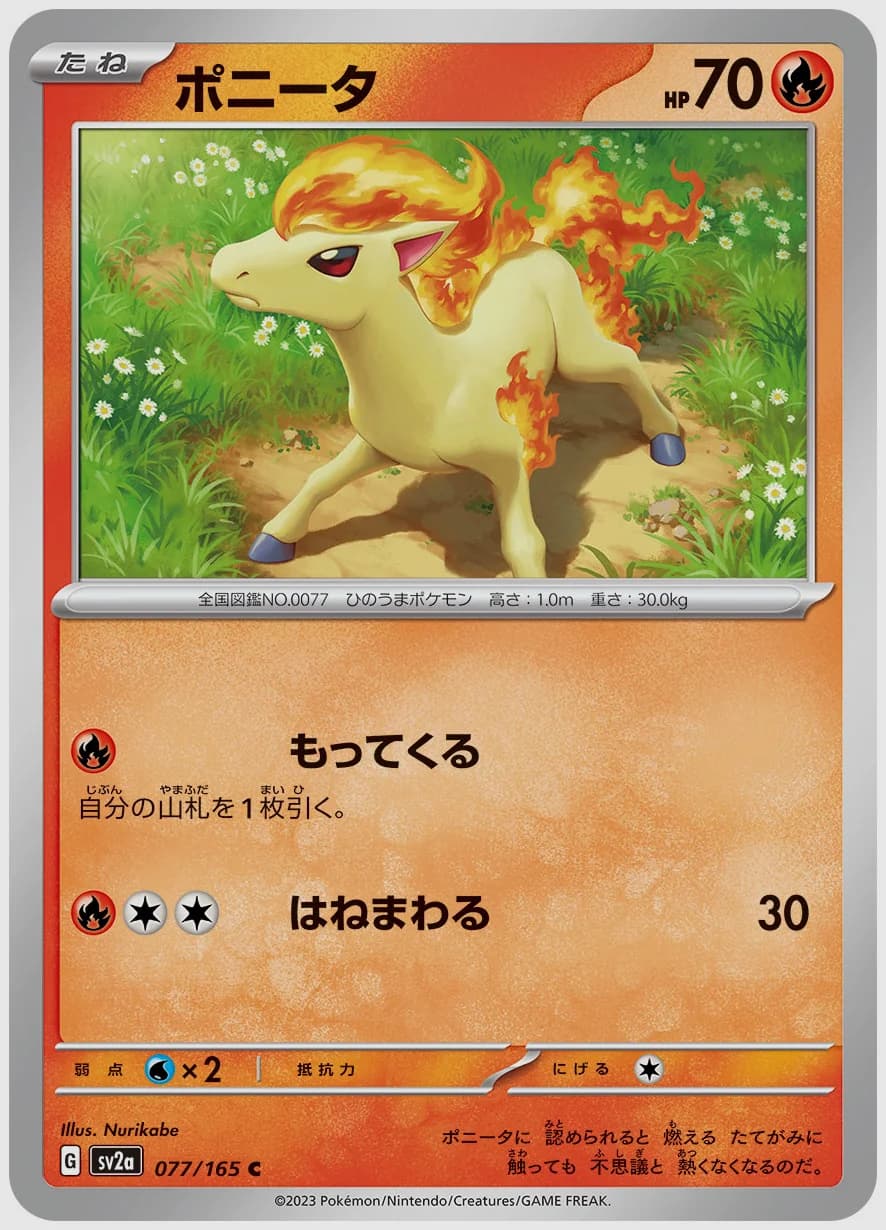 ポニータ