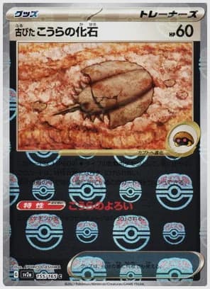 古びたこうらの化石