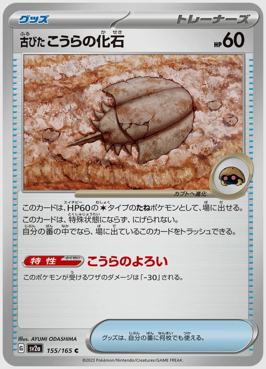 古びたこうらの化石