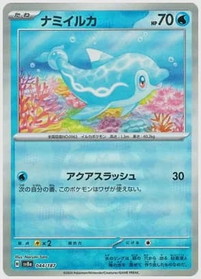 ナミイルカ